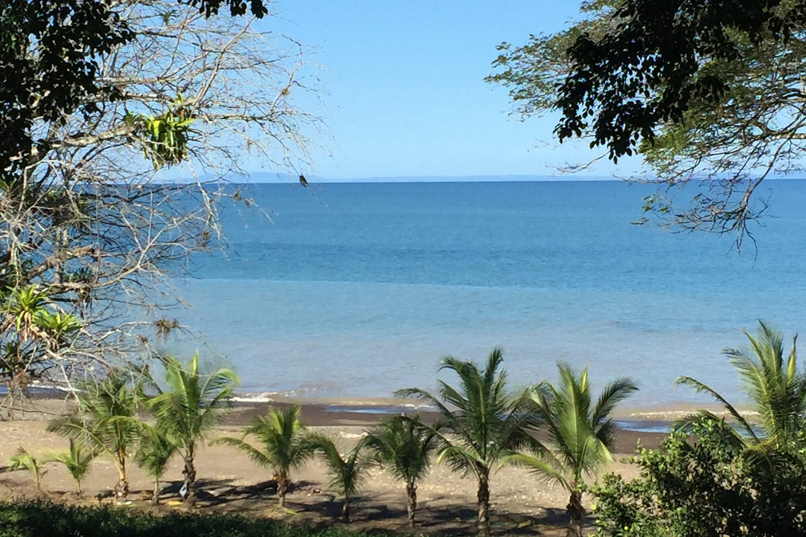 Beach and calm sea at Punta Leona, Costa Rica, framed by trees